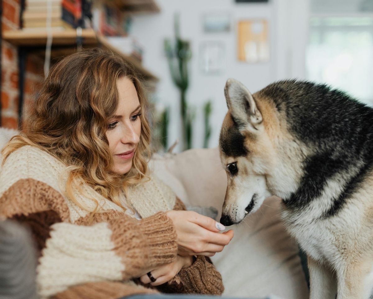 a person sitting on a couch with a dog a person sitting on a couch with a dog