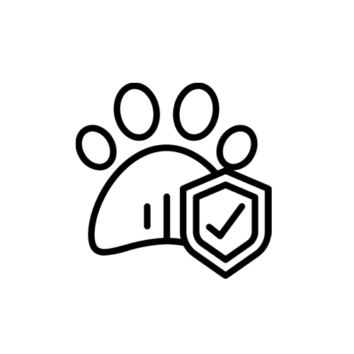 pet-insurance-payment pet-insurance